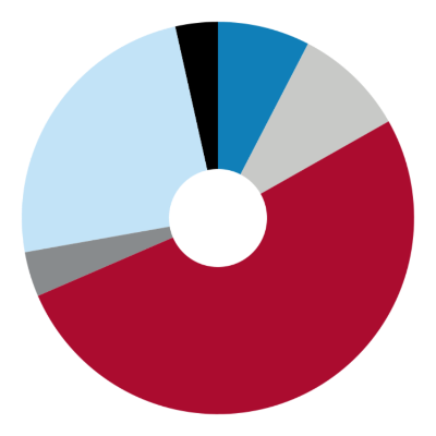 pie chart showing student demographic breakdown