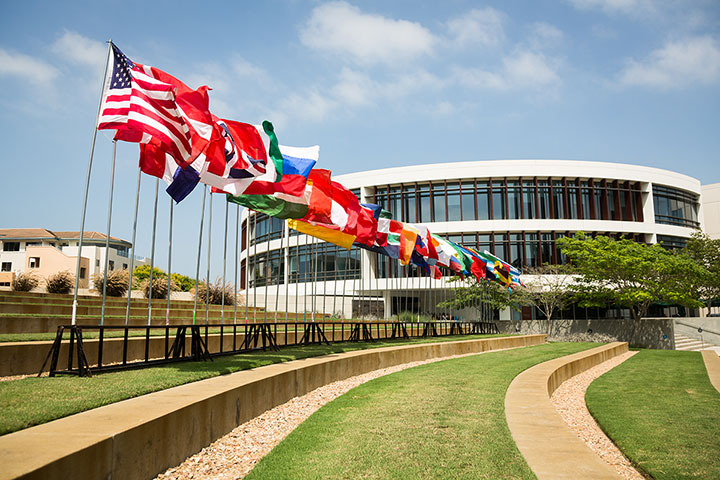 Various country flags lined up and waving in the breeze outside of the William H. Hannon Library