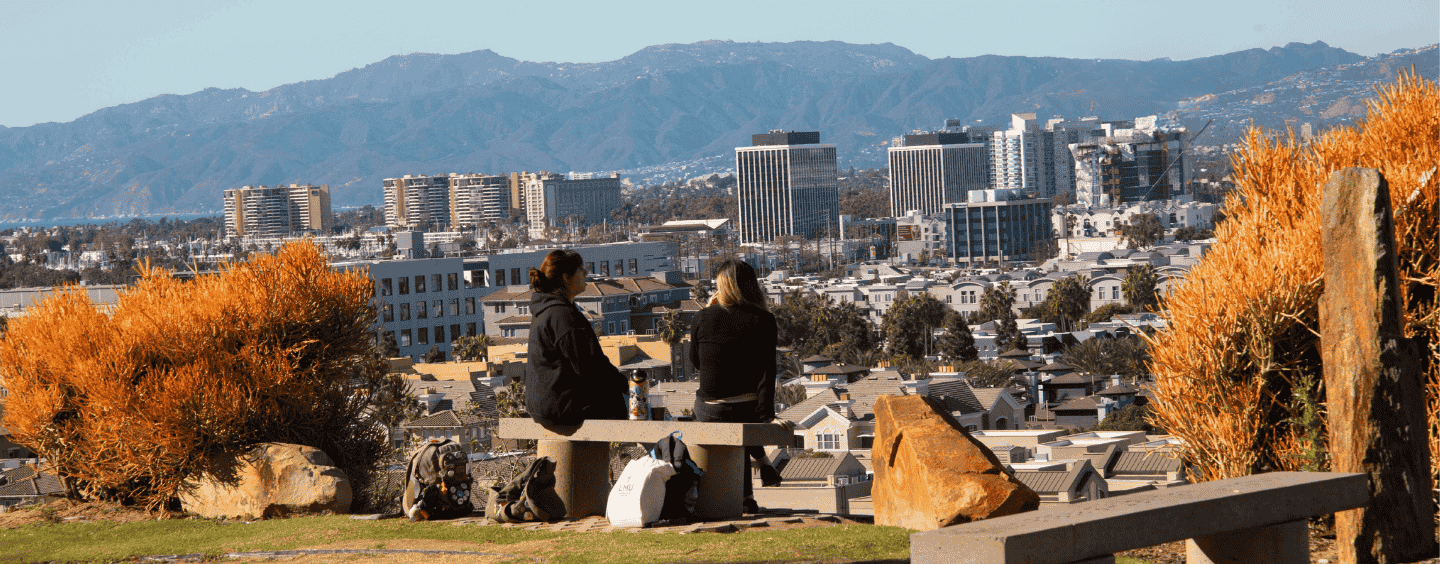 college students with their backs facing the camera looking out over Los Angeles from a bluff on the west side of the city