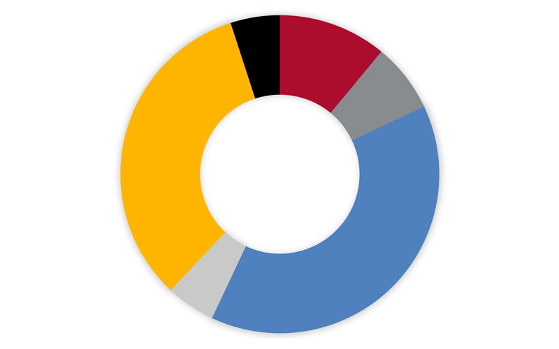 A pie chart illustrating the percentage for each student ethnicity listed below