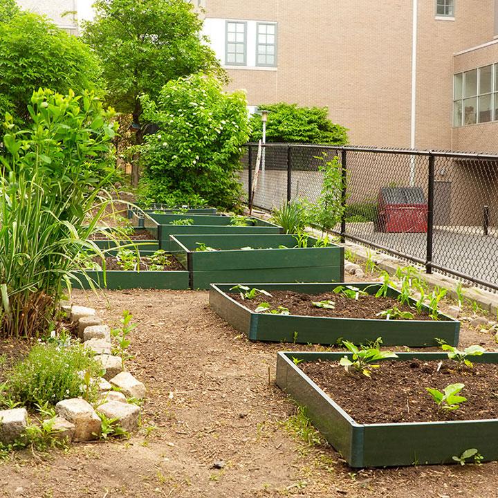 garden beds at a school