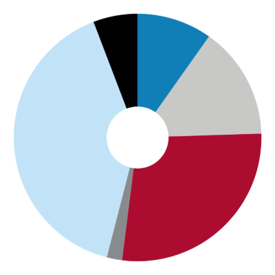 pie chart showing faculty demographic breakdown